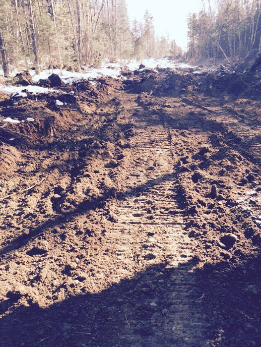 WentworthHalbinselStrasse (10)